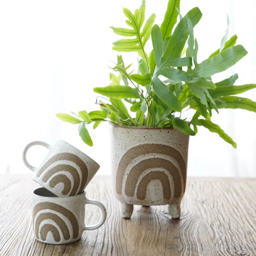 Cups or Mugs