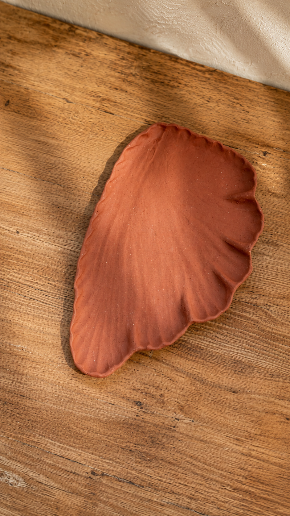Shell Tray