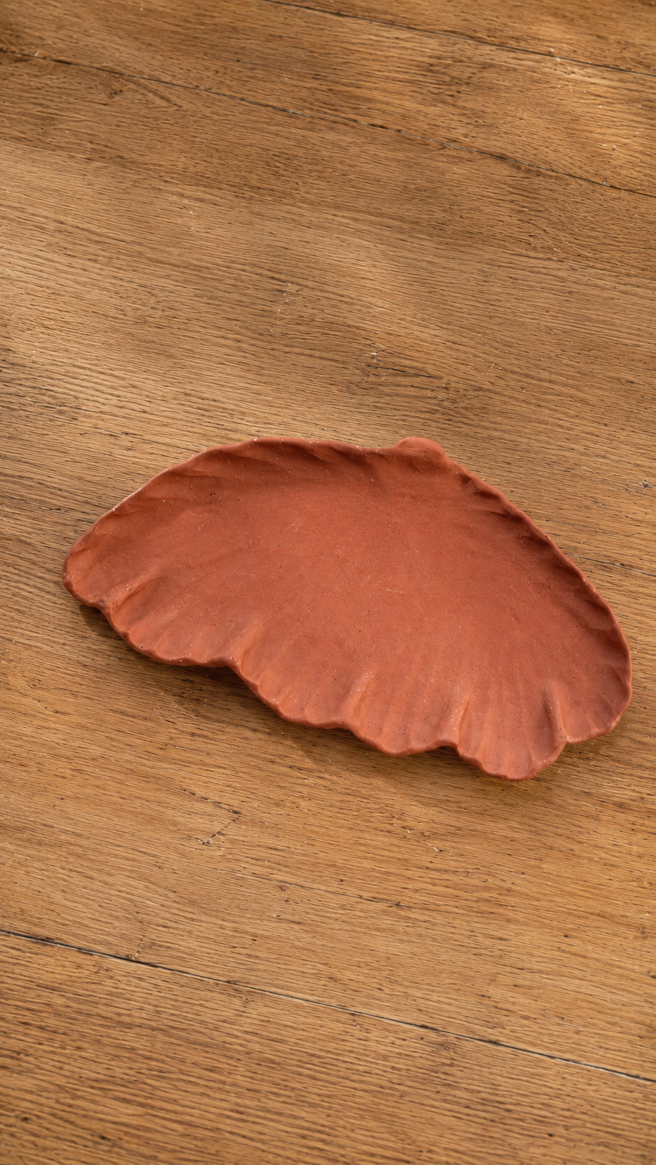 Shell Tray