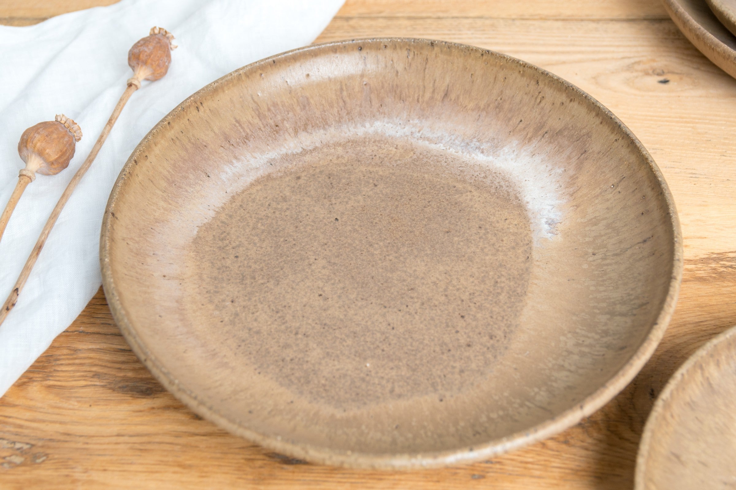 Bark Dinner Plate - SALE