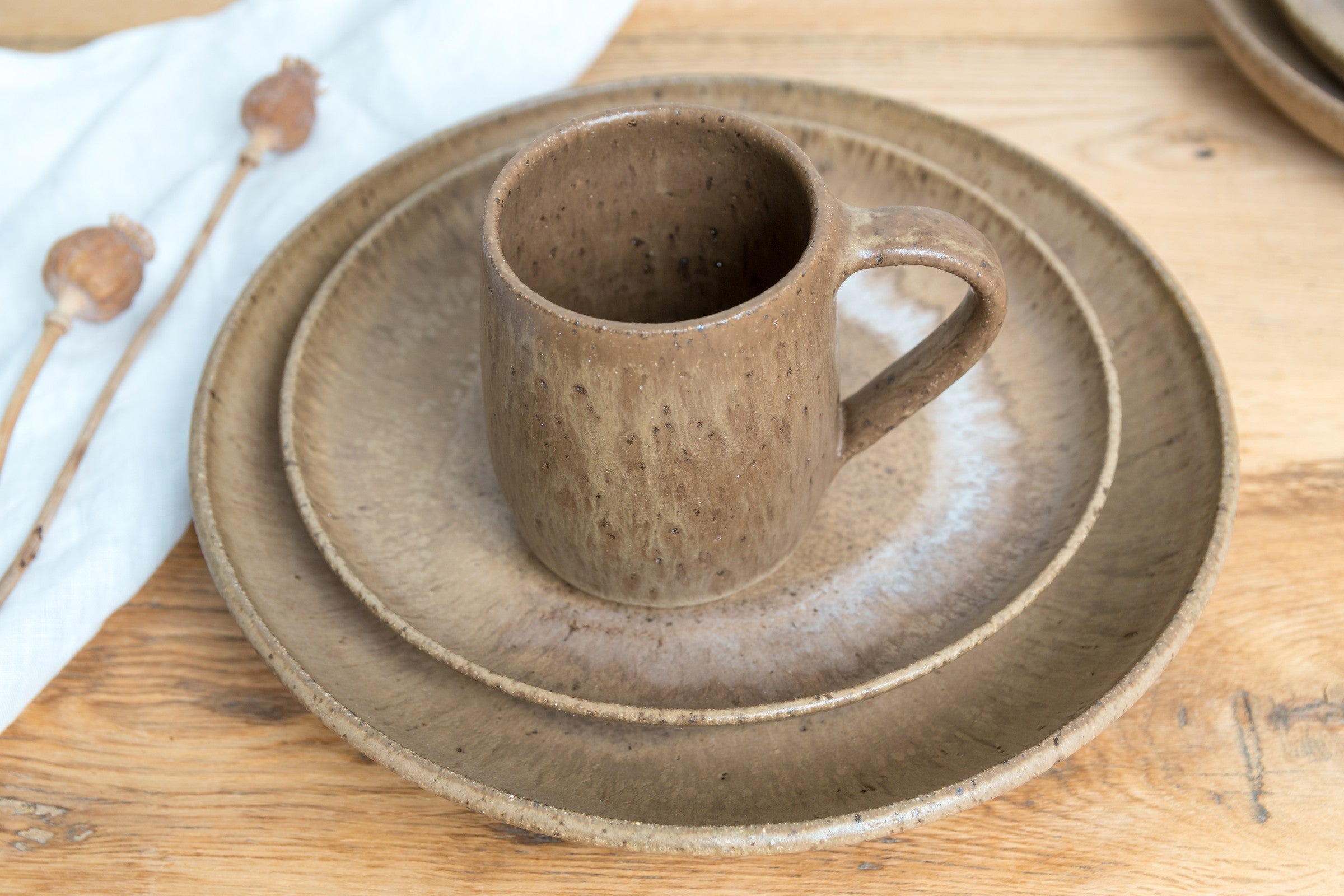 Bark Dinner Plate - SALE