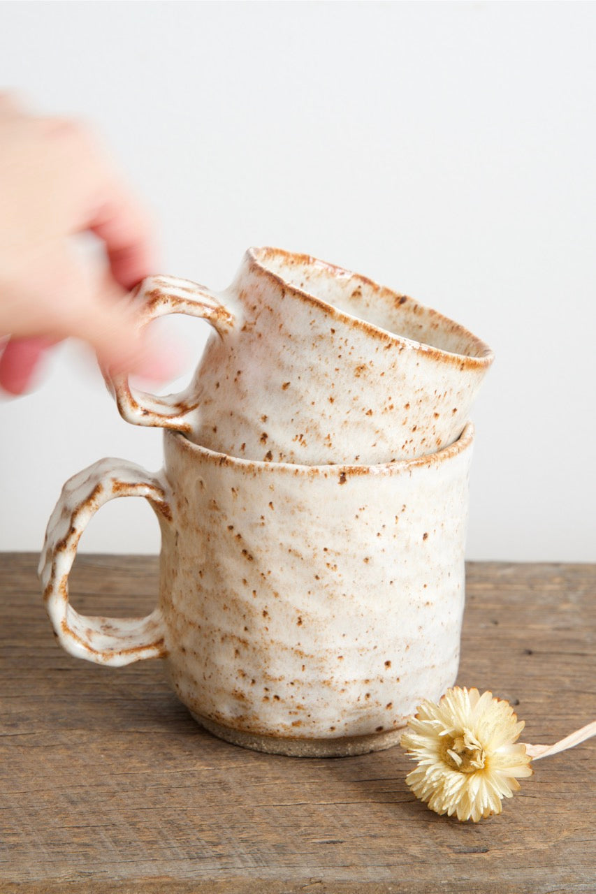Dinosaur mug
