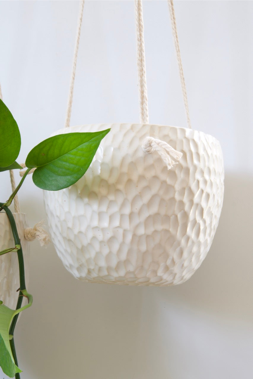 Ivory Grove hanging planter