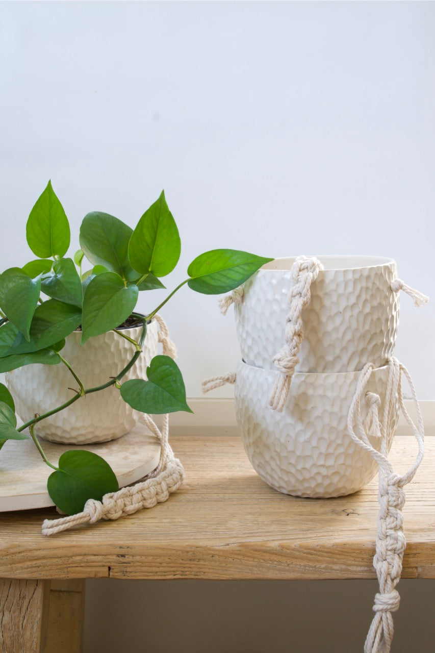 Ivory Grove hanging planter