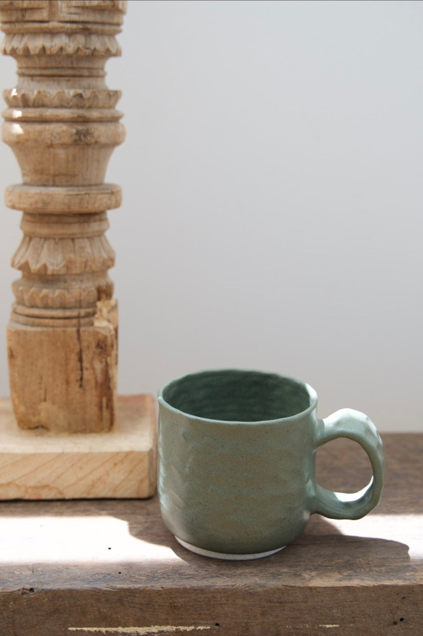 Dinosaur mug