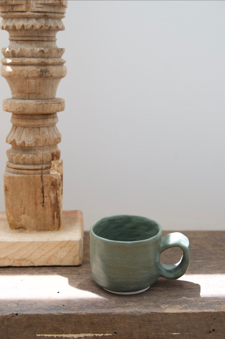 Dinosaur muglet
