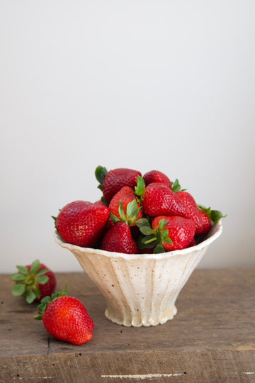 Stonewhite Trace Bowl - noodle bowl size