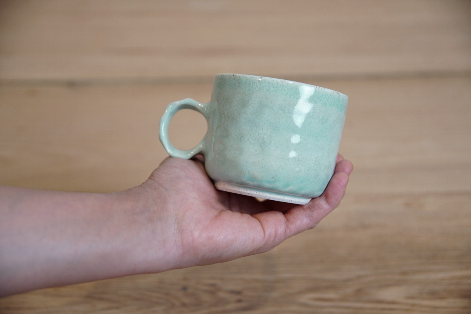 Dinosaur muglet