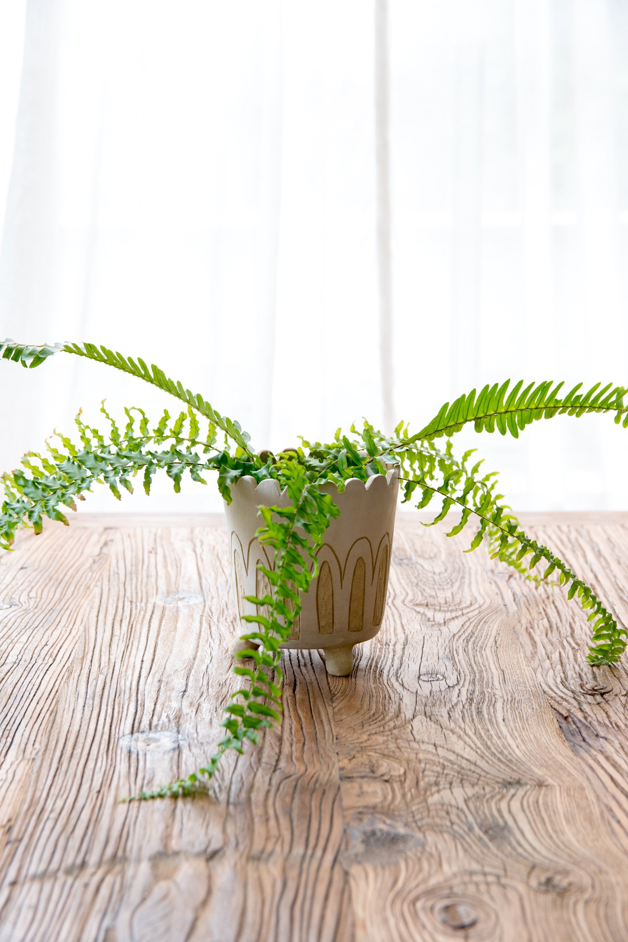 Mini stumpaloompa planter