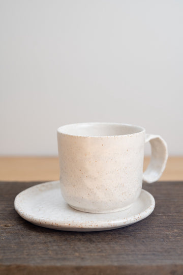 Dinosaur mug and saucer set
